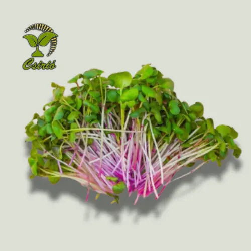 Rosa Reteg Microgreen Samen 30g