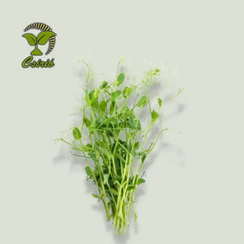 Erbsen-Microgreen-Samen 30 g